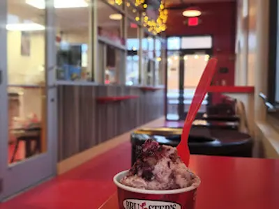 Bruster's Real Ice Cream