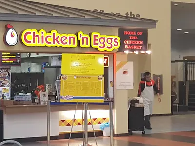 Chicken & Eggs