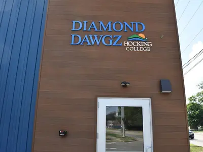 Diamond Dawgz