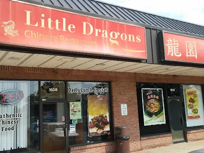 Little Dragons