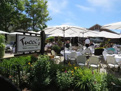 Tucci's